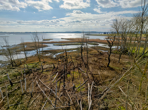 Formerly fresh water marshes until 2013 when a tidal surge broke through from the sea
