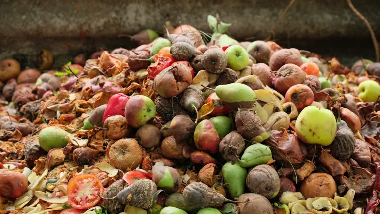 Biowaste 140+ Biodegradable Waste Stock Videos and Royalty-Free Footage - iStock