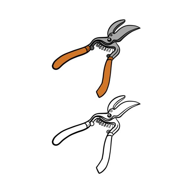 istock Vector illustration for your design. Colored and black line outline. Garden set. Tools. Secateurs. 1477585972