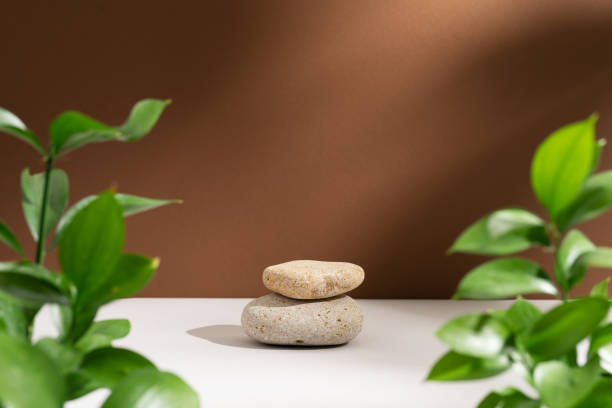 istock Empty stone podium and green branches with soft shadows on brown background. Eco backdrop with round natural rocks and fresh leaves. Pedestal or showcase for presentation. Wabi sabi concept 1477588295