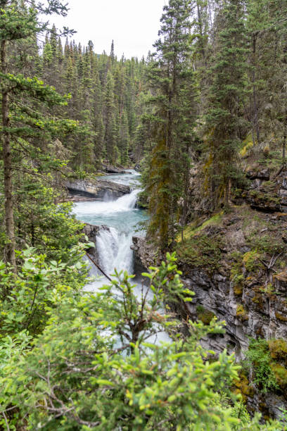 istock Waterfall in Johnston Canyon in Banff National Park during summer 1477589090
