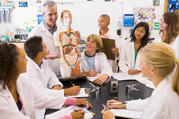 Children and their teacher in a high school science class School children and their teacher in a high school science class learning anatomy high school high school student science multi ethnic group stock pictures, royalty-free photos & images