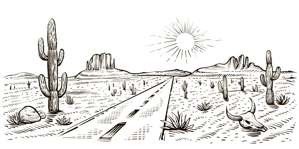 Desert road sketch with cactus and skull, vector illustration. Hand drawn landscape of Arizona. USA journey.