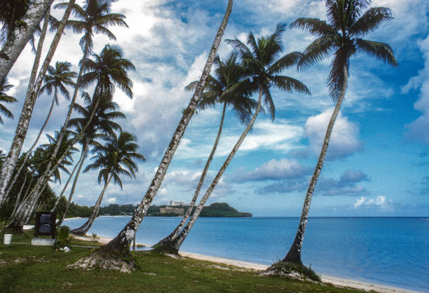 Guam - Tumon Bay & Palm Trees - 1972
