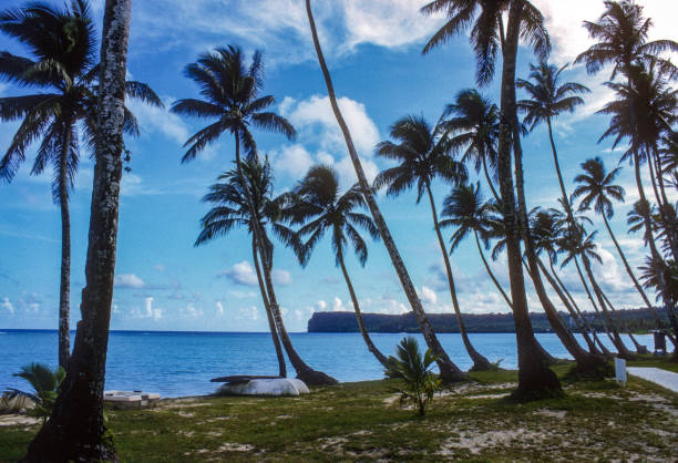 istock Guam - Two Lovers Point & Palm Trees - 1972 1477589780