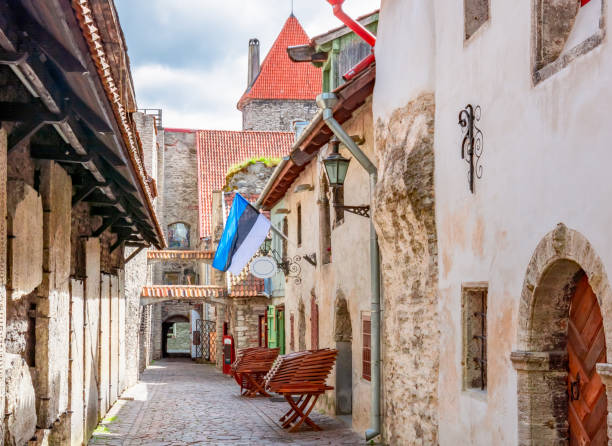 St. Catherine`s Passage in old town, Tallinn, Estonia St. Catherine`s Passage in old town, Tallinn, Estonia ancient arch architecture brick stock pictures, royalty-free photos & images