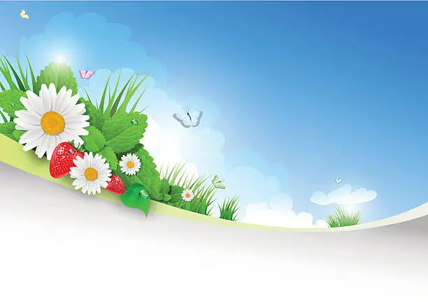 Vector illustration of nature background
