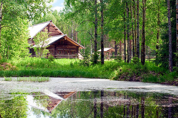 istock Wooden house and pond in forest 147759623