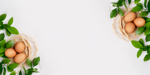 istock Easter banner. Green branches, natural eggs in nest on light grey background. Spring eco composition with fresh leaves and eggs. Happy Easter holiday. Festive layout. Top view, flat lay, copy space 1477597402