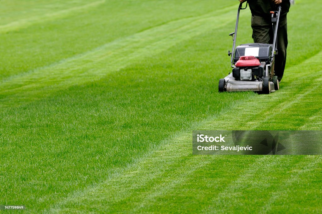 Mowing the lawn Person cutting grass in parallel lines Lawn Mower Stock Photo
