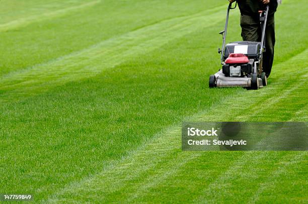 Mowing The Lawn Stock Photo - Download Image Now - Lawn Mower, Grass, Lawn