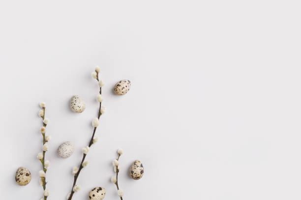 istock Eco Easter postcard. Pussy willow branches and natural quail eggs on light grey background. Festive composition layout. Spring holiday. Willow catkins and eggs flat lay. Top view, copy space 1477598854