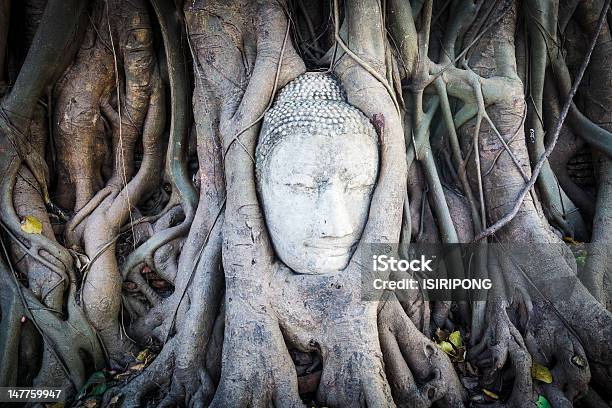 Szef Piaskowca Budda W Korzenie Drzew - zdjęcia stockowe i więcej obrazów Ayuthaya - Ayuthaya, Azja, Budda