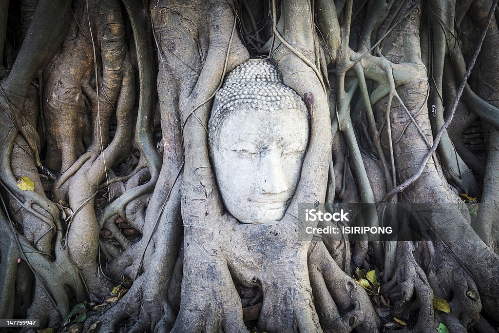 Cabeça de arenito Buda de raízes de árvore - Foto de stock de Antigo royalty-free