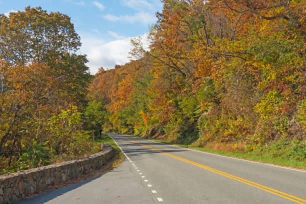istock Mountain Road Through the Autumn Colors 1477599487