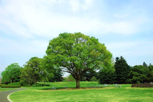 Plants and Nature and Landscape