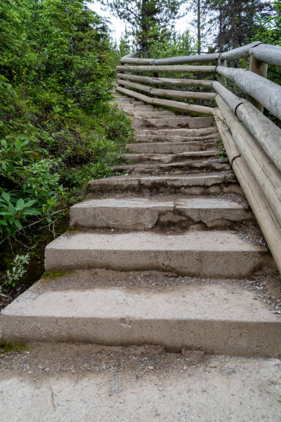 treppe auf dem wanderweg am marble canyon in british columbia, kanada - marble canyon stock-fotos und bilder