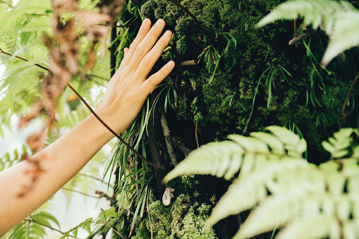 asian woman holding fern frond in the woods
