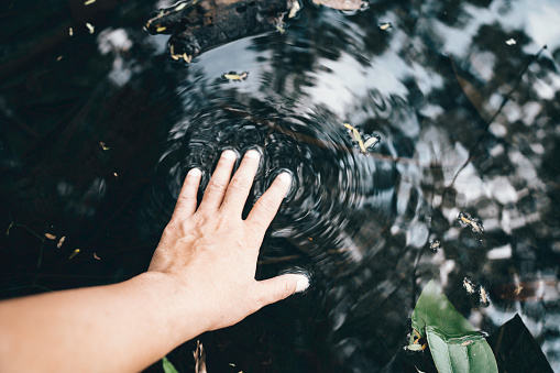 Cropped Hand Of Woman Touching Water In Lake