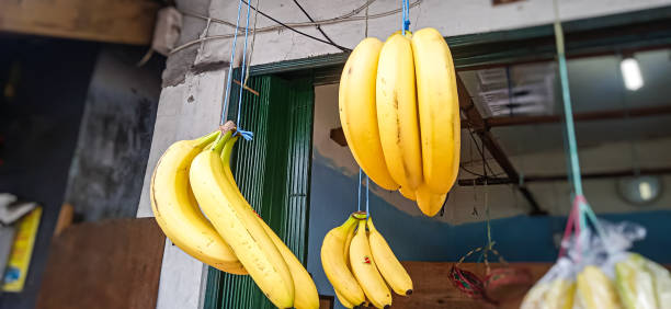 istock bananas hanging in the fruit market 1477609183