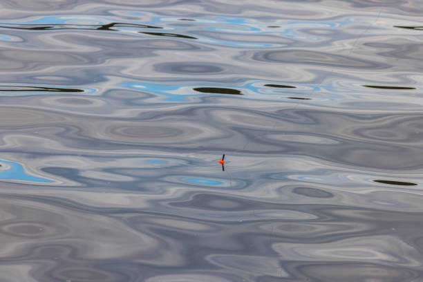 A colorful fishing bobber floats on the calm surface of a lake, surrounded by soft reflections of the sky and water. Blades of grass frame the scene, adding a natural touch.