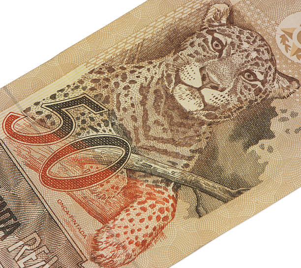 istock Brazilian money 147761369