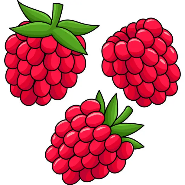 Vector illustration of Raspberry Fruit Cartoon Colored Clipart