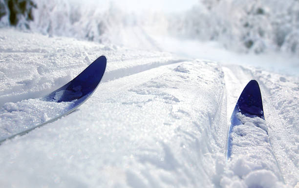Ground level view of cross country skiing stock photo
