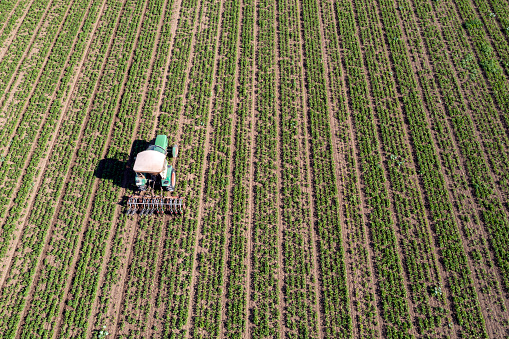 Aerial view of a green tractor working in the field.