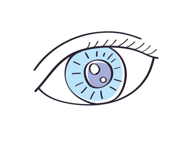 illustrazioni stock, clip art, cartoni animati e icone di tendenza di blu occhio umano - human eye cartoon looking blue eyes
