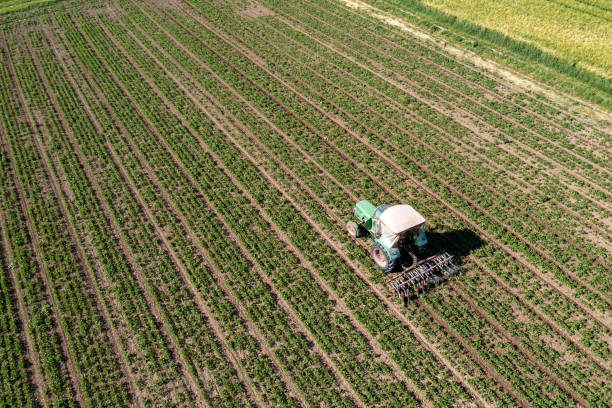 istock Tractor in the field from above 1477627377