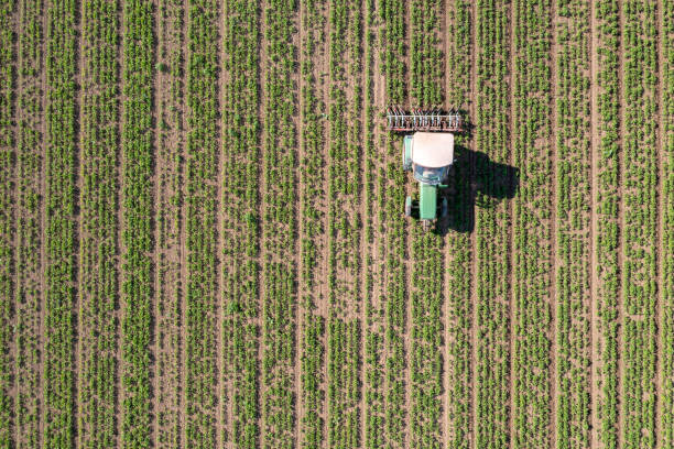 istock Tractor working in the field from above 1477627603