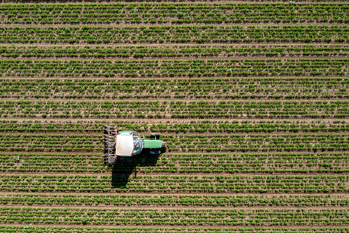 Green tractor working in the field viewed from directly above.