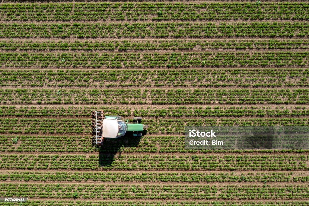 Tractor in the field from directly above Green tractor working in the field viewed from directly above. Aerial View Stock Photo