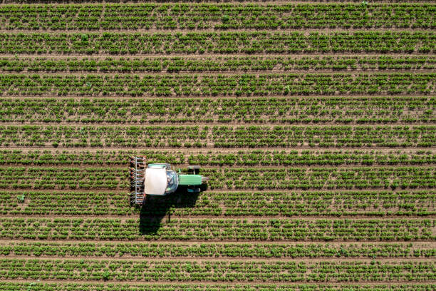 Tractor in the field from directly above stock photo