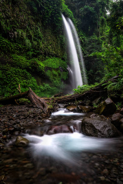 istock Sendang Gile Waterfalls Lombok 1477629838