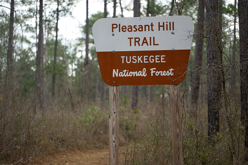 Close up of sign for Pleasant Hill Trail in Tuskegee National Forest