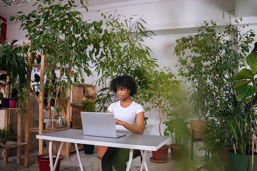 Thoughtful African-American young woman working typing on laptop computer sitting at desk in home office room with modern biophilia design, on background of green plants. Concept of house garden.