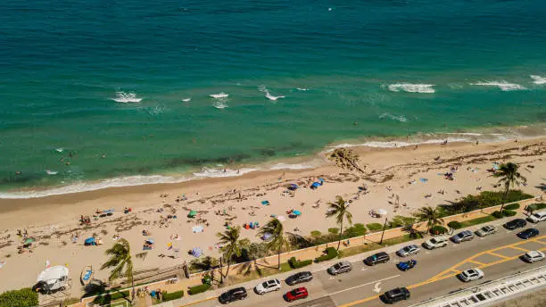 Aerial Drone View Directly Above a Beach Filled with Beach Umbrellas on the Sandy Shoreline in Palm Beach, Florida at Midday During Springbreak 2023