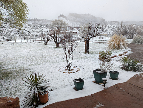 New Snow on South Mesa in late winter in Rockville Utah