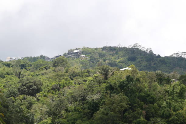 istock High hill filled with green grass, rocks and sand 1477641926