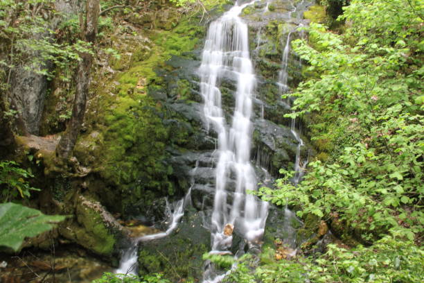 istock A waterfall in ayazma nature park 1477643247
