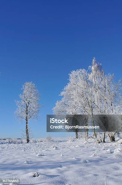 Winter Stock Photo - Download Image Now - Blue, Cold Temperature, Color Image