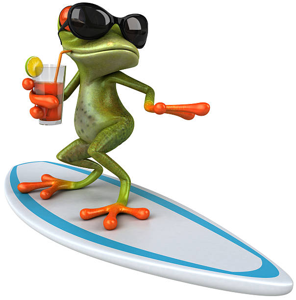 rana surf - frog three dimensional shape animal green foto e immagini stock