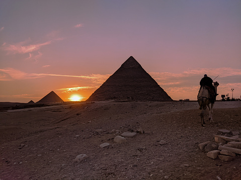 Egyptian rides camel, facing the perfect sunset between the ancient great pyramids of Giza, Egypt. This photo was photographed during the summer vacation, travel to middle east. It contains desert, camel, stone, purple sunset, sky, horizon, and sun between two pyramids.