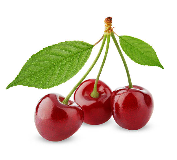 istock Three sweet cherries with leaves isolated on white 147765588