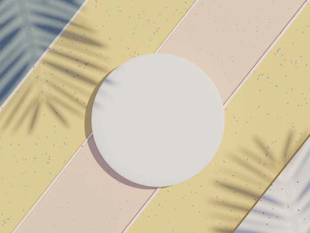 istock 3d render top view of white blank cylinder frame for mock up and display products with shadows of palm leaves with summer background. 1477664778
