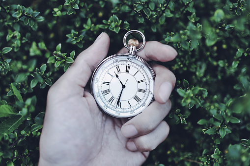 Pocket watch in hand and green background