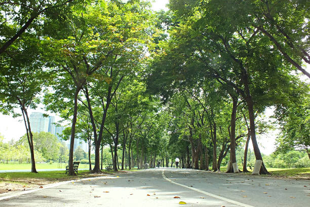 istock green and nature with life balance 1477667599