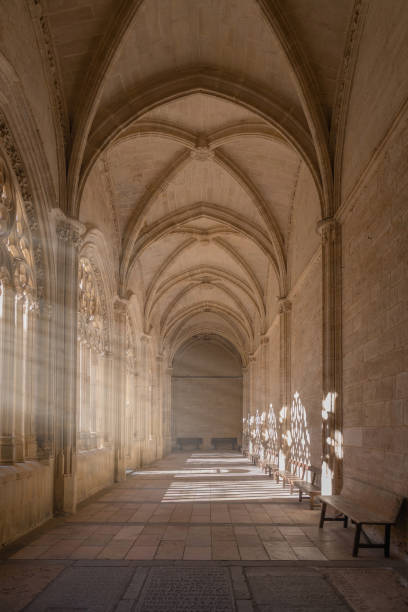 세고비아 대성당의 회랑에서 아름다운 햇빛 - cathedral gothic style indoors church 뉴스 사진 이미지